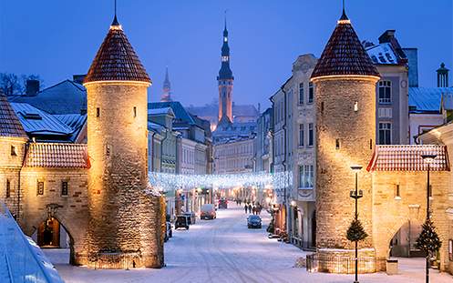 Blick auf Tallin