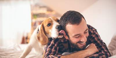 Tierhalterhaftpflicht für Hunde und Katzen - CosmosDirekt